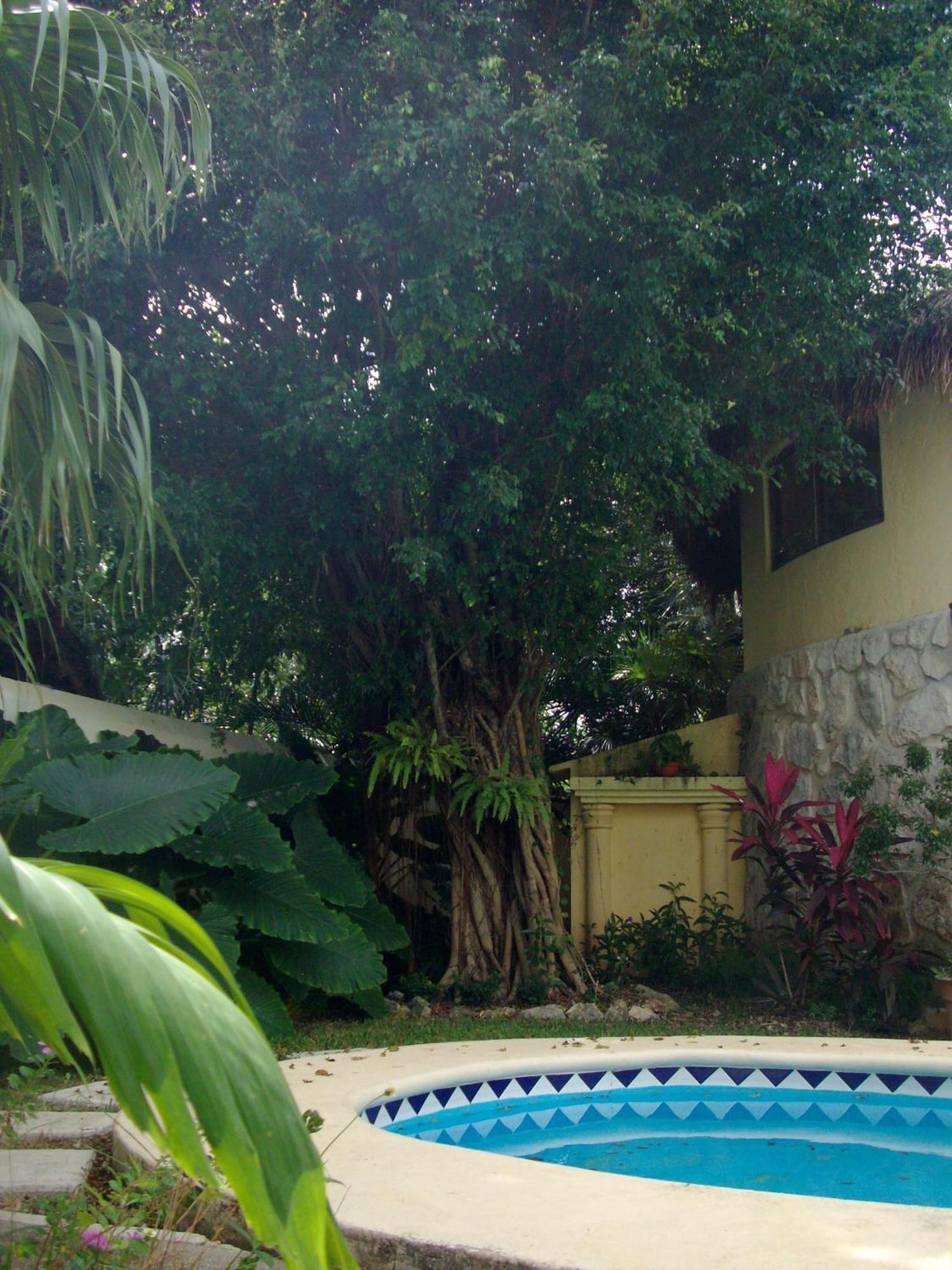 Residencia Los Encantos كانكون المظهر الخارجي الصورة